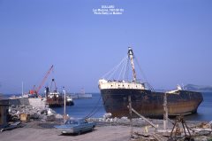 Thumbnail Image for Dollard