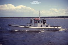 Thumbnail Image for Domineer