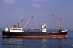 Thumbnail Image for Domino Run