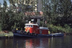 Thumbnail Image for Donald Mac