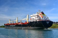 Thumbnail Image for Vezhen