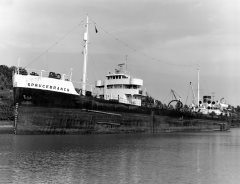 Thumbnail Image for Sprucebranch