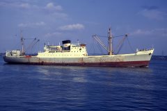 Thumbnail Image for Salamina