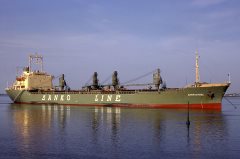 Thumbnail Image for Sankosteel