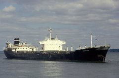 Thumbnail Image for Senatore oncontextmenu=