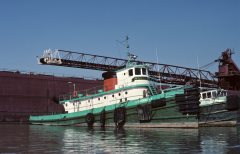 Thumbnail Image for Shannon