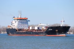 Thumbnail Image for Algotitan