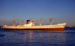 Thumbnail Image for Southern Prince