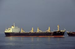 Thumbnail Image for Star Taro