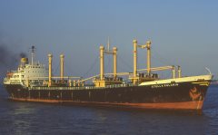 Thumbnail Image for Stella Polaris