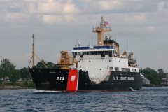 Thumbnail Image for Hollyhock