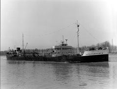 Thumbnail Image for Sprucebranch