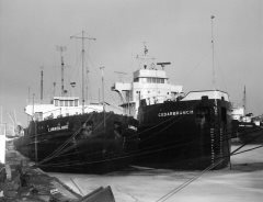 Thumbnail Image for Cedarbranch