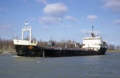 Thumbnail Image for Mondoc