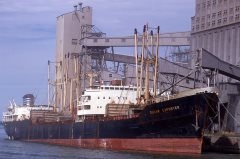 Thumbnail Image for Sugar Exporter