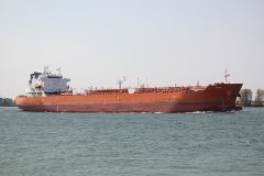 Thumbnail Image for Aliai