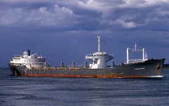 Thumbnail Image for Tainaron