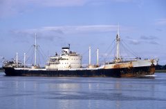 Thumbnail Image for Taxiarchis