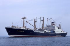 Thumbnail Image for Transamerica