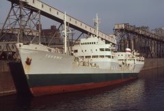 Thumbnail Image for Tukums