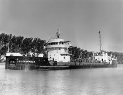 Thumbnail Image for Cedarbranch