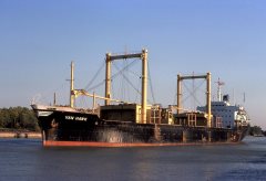 Thumbnail Image for Van Hawk