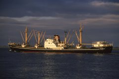 Thumbnail Image for Vishva Siddhi