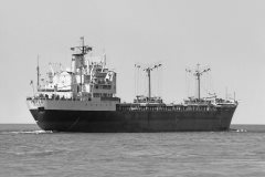 Thumbnail Image for Koper