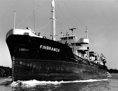 Thumbnail Image for Firbanch