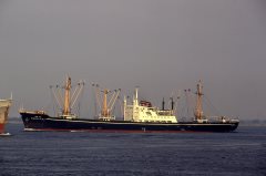 Thumbnail Image for Vishva Tej