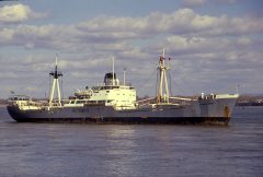 Thumbnail Image for Waldemar Pinheiro