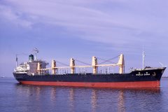 Thumbnail Image for World Diana