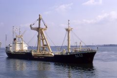 Thumbnail Image for Yanagi Maru