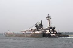 Thumbnail Image for Maumee