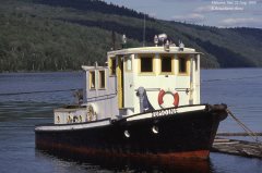 Thumbnail Image for Dumoine