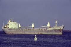 Thumbnail Image for Andrea Brovig