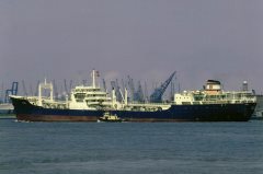 Thumbnail Image for Anne