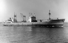 Thumbnail Image for Argosea