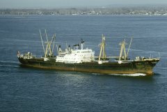 Thumbnail Image for Lalazar