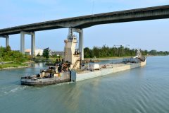 Thumbnail Image for Bradshaw McKee