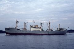 Thumbnail Image for Aud Presthus