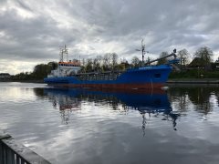 Thumbnail Image for Hegemann I