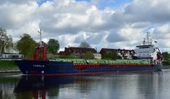 Thumbnail Image for Kamelia