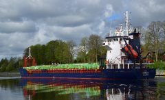 Thumbnail Image for Kamelia