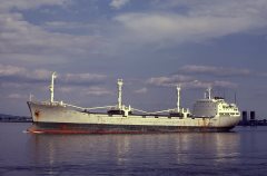 Thumbnail Image for Birknes