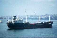 Thumbnail Image for Borgnes