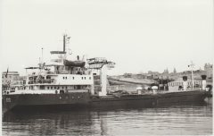 Thumbnail Image for Bruni