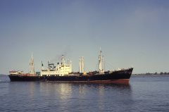 Thumbnail Image for Cabateal