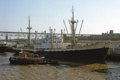 Thumbnail Image for Camerounkust