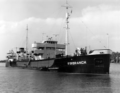 Thumbnail Image for Firbranch